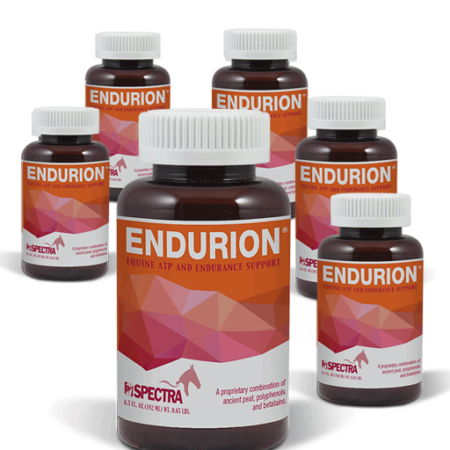 Endurion - 6 pack