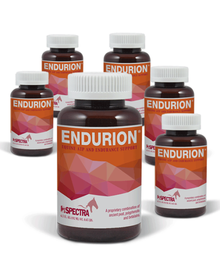 Endurion - 6 pack